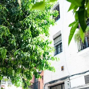 https://alohamundi-cruz-verde.es-andalucia.com